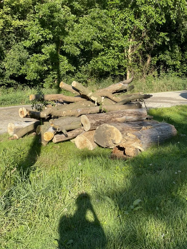 Top-rated outdoor landscaping for residential properties across Vernon Hills, IL - TBL Land Works