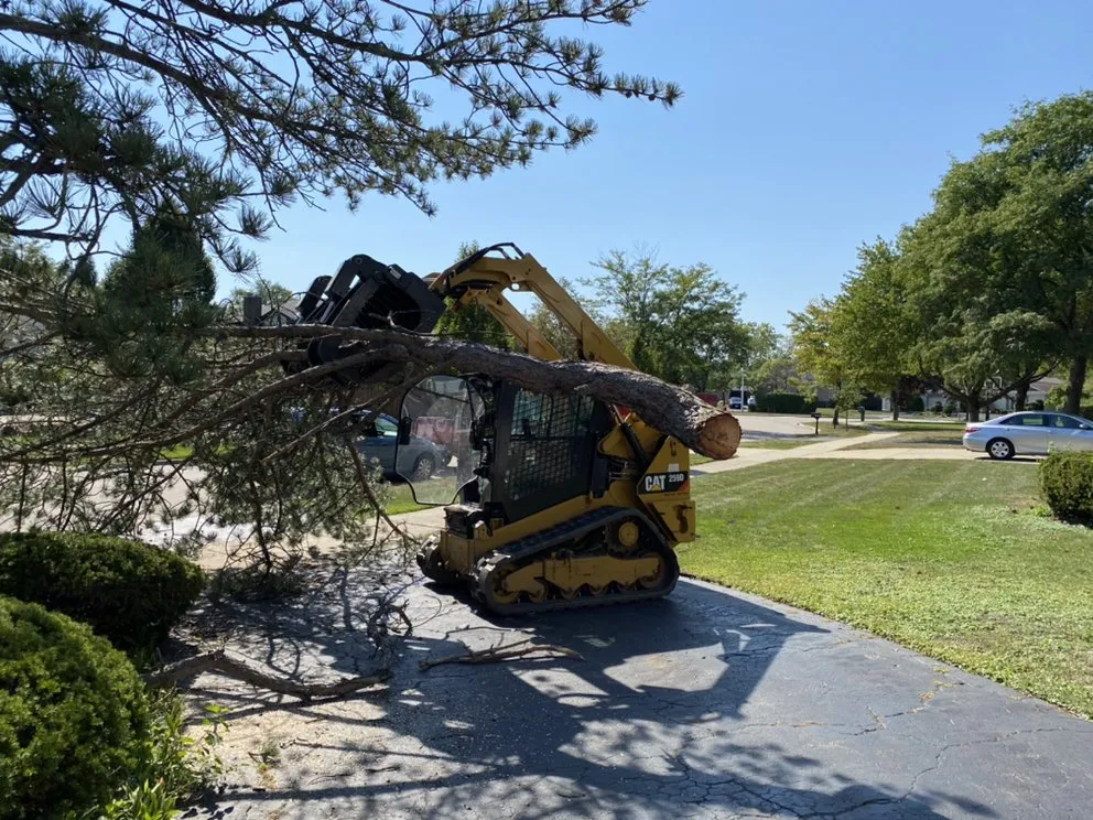 Affordable landscape installation in Vernon Hills, IL - TBL Land Works
