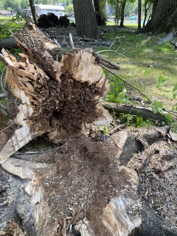 Affordable landscape design for outdoor upgrades across Vernon Hills, IL - TBL Land Works