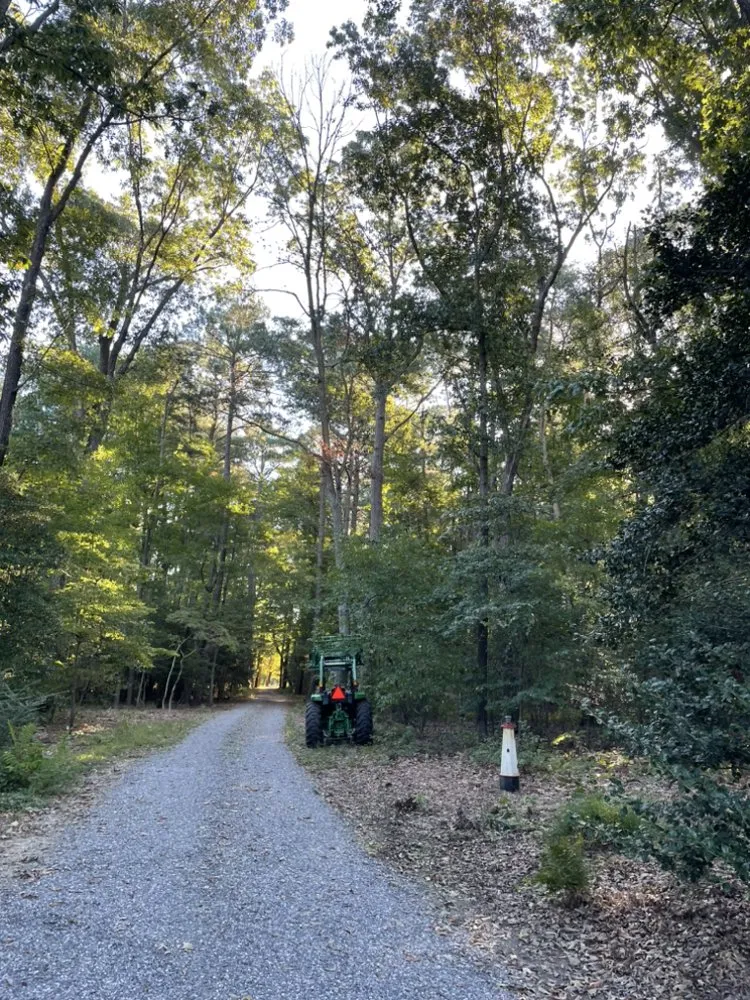 Top-rated yard maintenance for outdoor upgrades across Heathsville, VA - TBL Lawn Care