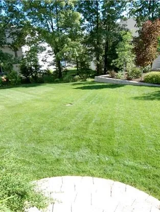 Professional yard cleanup service for year-round maintenance in Severna Park, MD by TBOT Services