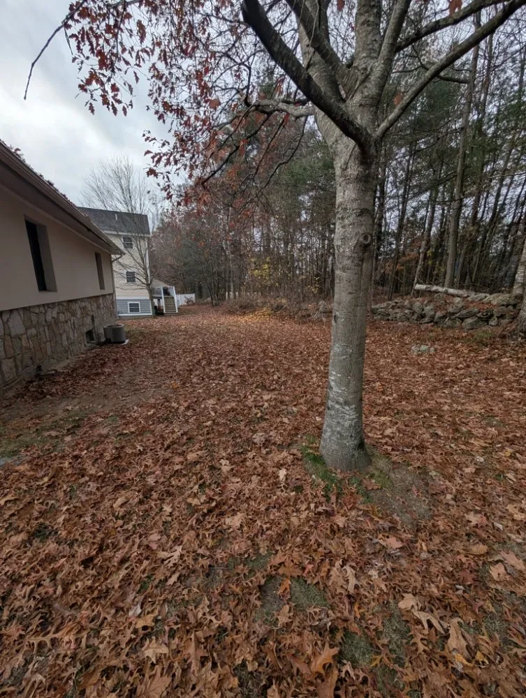 Reliable yard maintenance for year-round maintenance in Manchester, NH by Tbows Services