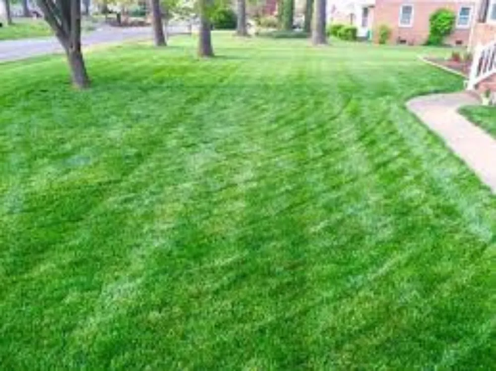 Professional yard cleanup service in Lincoln, NE by Tb's Lawn Care Service