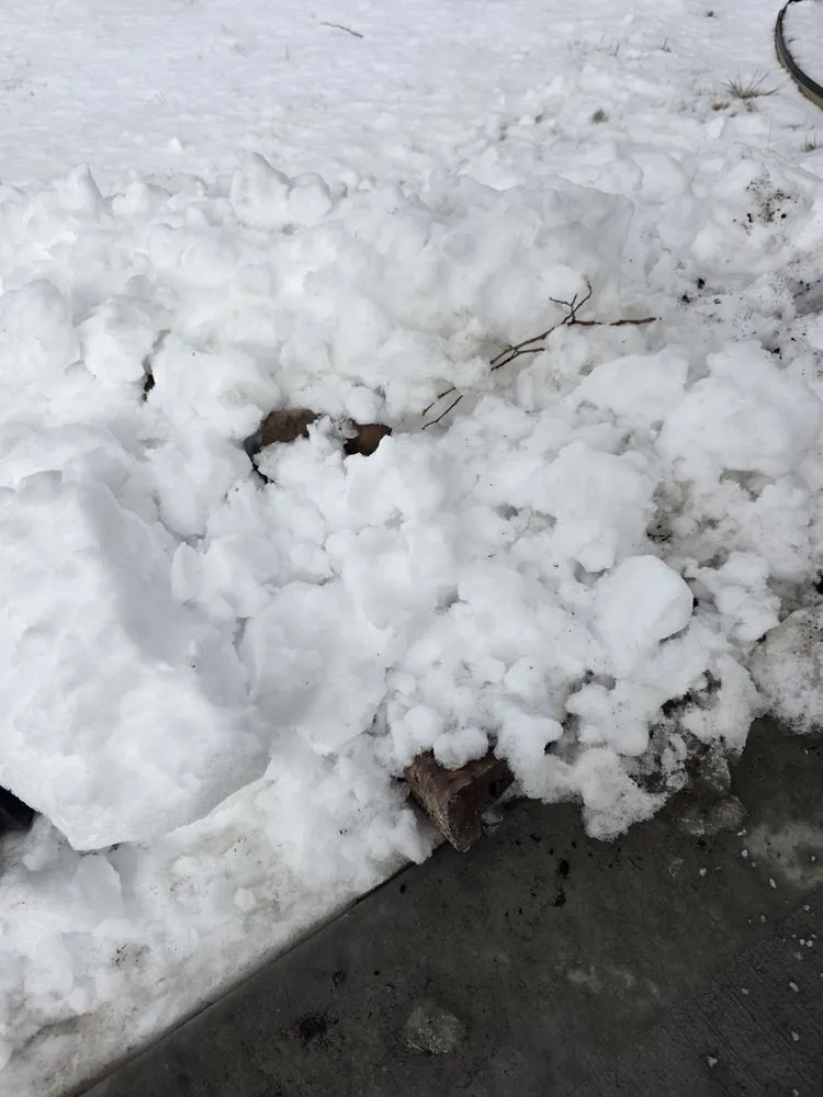 Custom lawn mowing service in Commerce City, CO - TBTFW Landscaping and Snow Removal