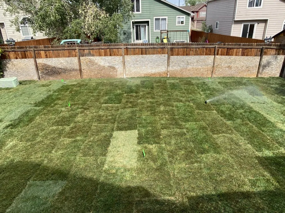 Professional landscape design in Commerce City, CO by TBTFW Landscaping and Snow Removal