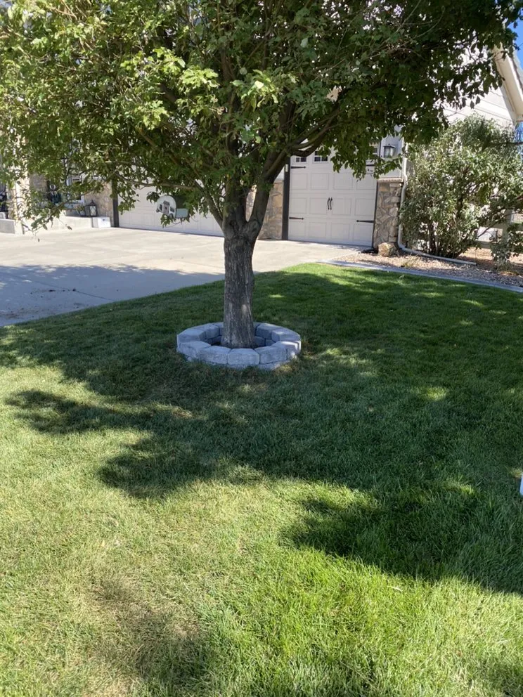 Reliable lawn care service near you in Commerce City, CO by TBTFW Landscaping and Snow Removal