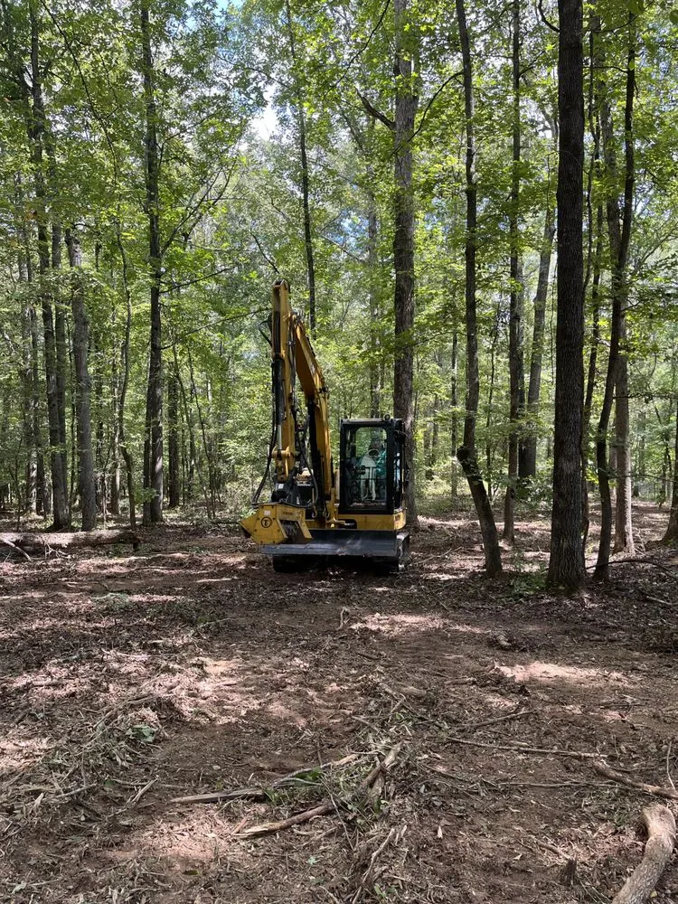 Affordable yard cleanup service for year-round maintenance in Athens, GA by TBX Landworks