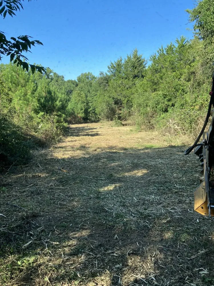 Trusted landscape design experts serving Athens, GA - TBX Landworks