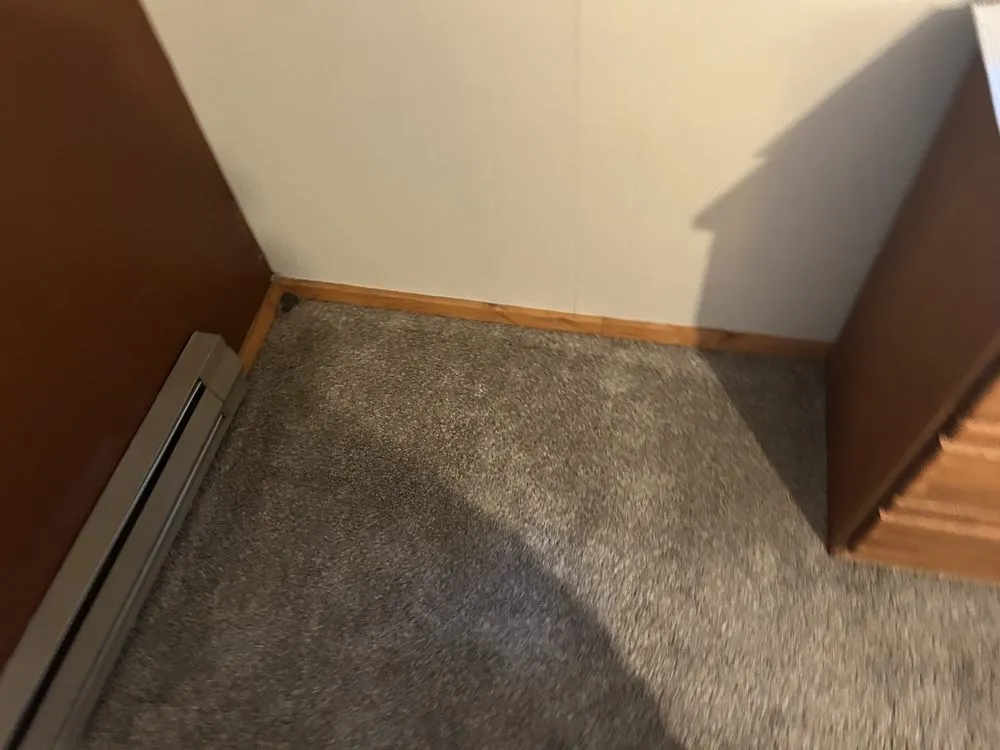 Trusted lawn mowing service in Pollock Pines, CA by TC & D Landscaping and Cleaning Services