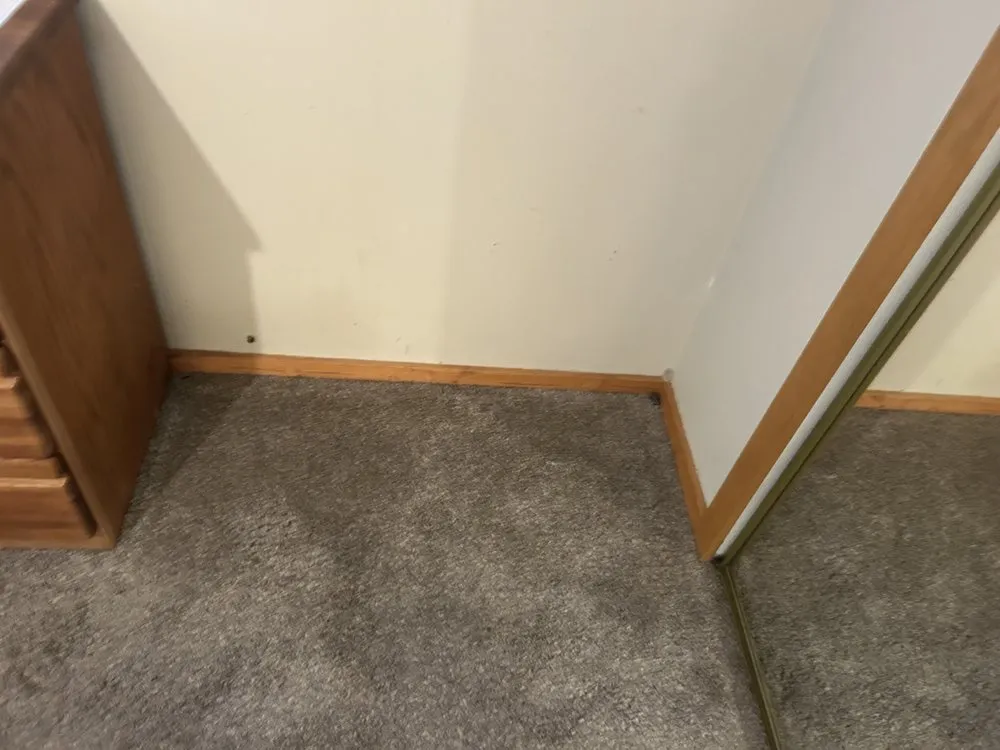 Expert outdoor landscaping for outdoor upgrades in Pollock Pines, CA by TC & D Landscaping and Cleaning Services