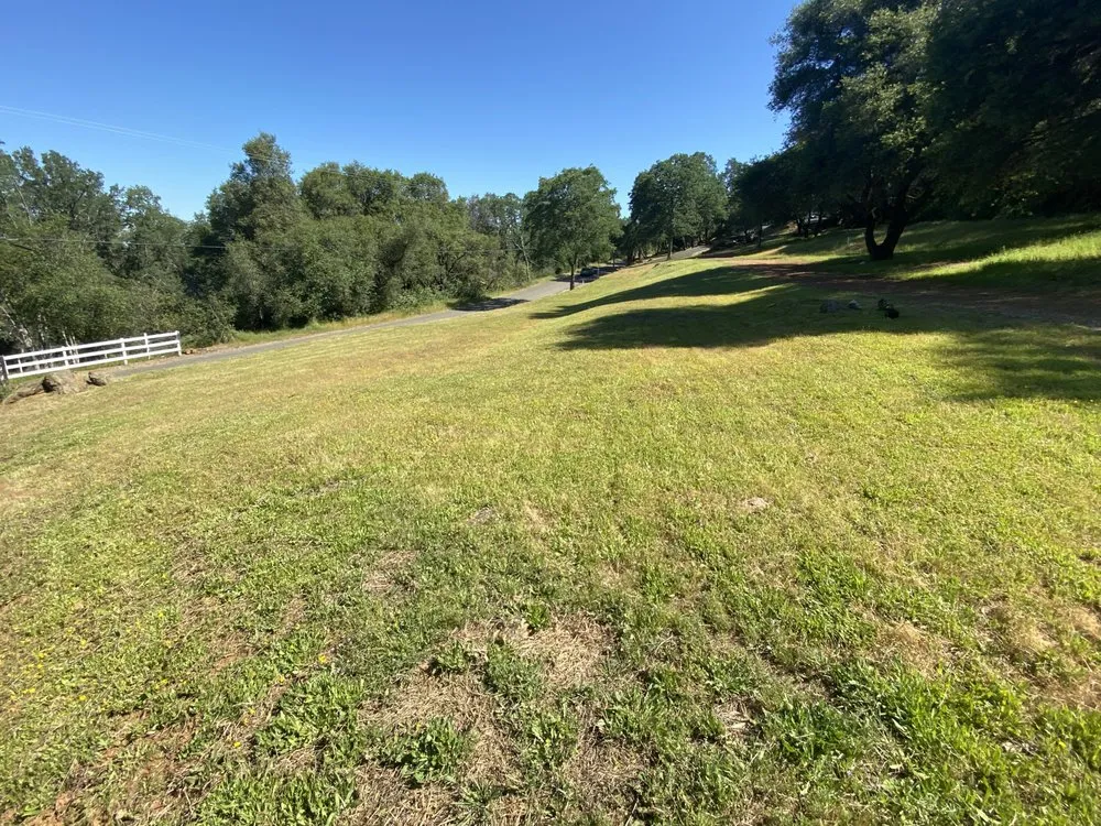 Local landscaping services with custom design in Pollock Pines, CA by TC & D Landscaping and Cleaning Services