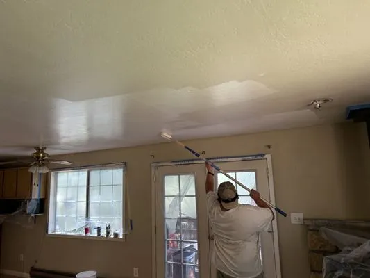 TC & D Landscaping and Cleaning Services