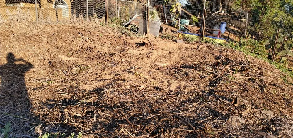 Trusted yard maintenance near you across San Diego, CA - TC Environmental Service