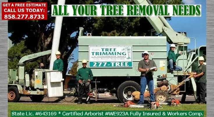 Affordable yard maintenance with custom design across San Diego, CA - TC Environmental Service