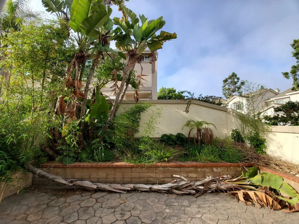 Custom landscaping services in San Diego, CA by TC Environmental Service