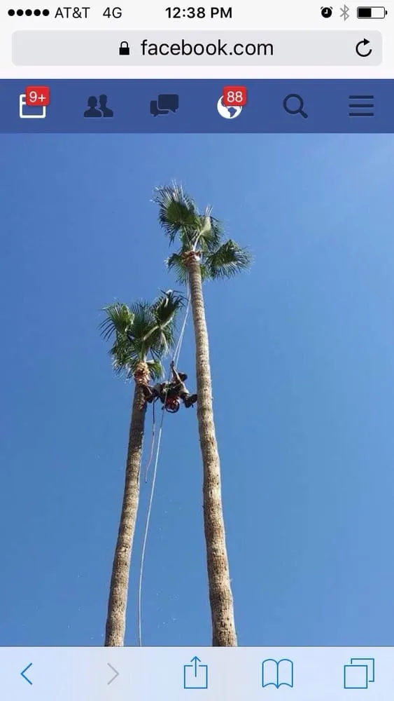 Top-rated lawn care service for homes across San Diego, CA - TC Environmental Service