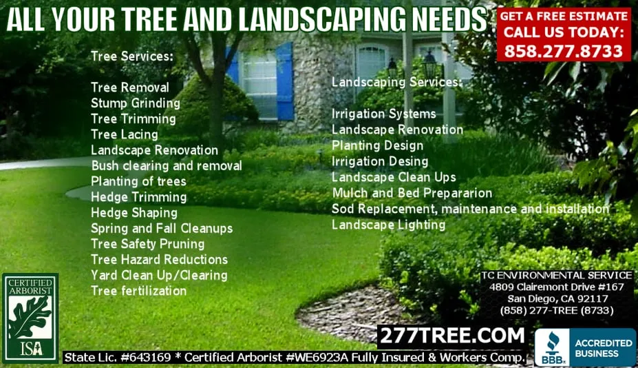 Affordable landscape installation for residential properties in San Diego, CA by TC Environmental Service