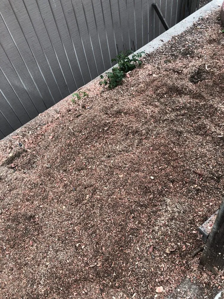 Expert landscape design in San Diego, CA by TC Environmental Service