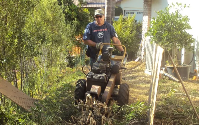 Reliable landscape design for year-round maintenance in San Diego, CA by TC Environmental Service