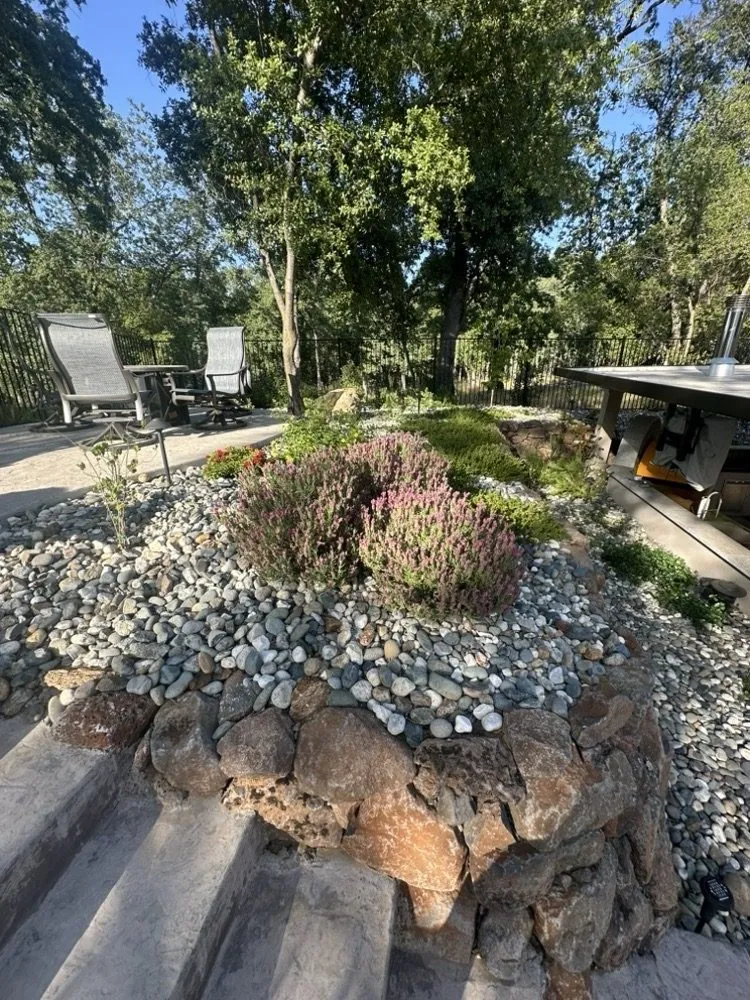 Local yard maintenance in Shingle Springs, CA by TC Landscape Construction