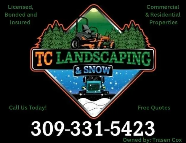 Affordable outdoor landscaping in Abingdon, IL by TC Landscaping & Snow