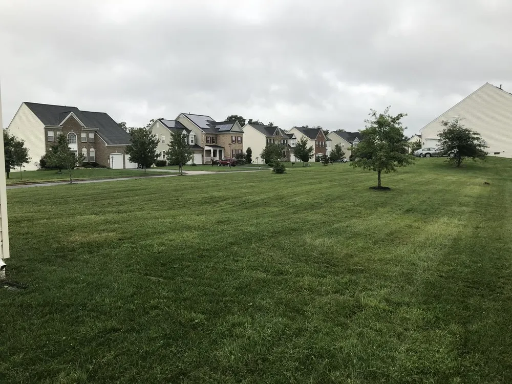 Professional landscape design in Fort Washington, MD by T&C Landscaping