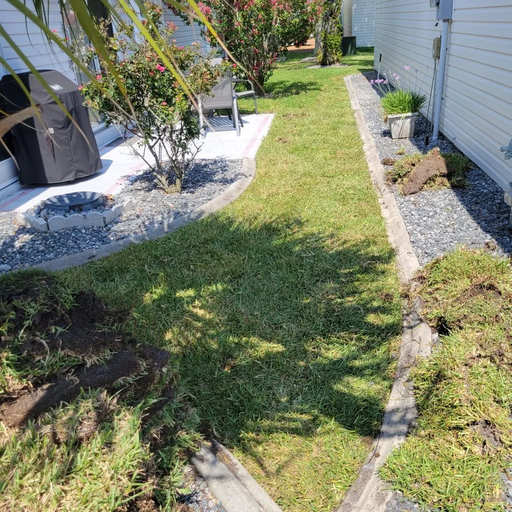 Expert residential landscaping for year-round maintenance in Umatilla, FL by T&C Landscaping
