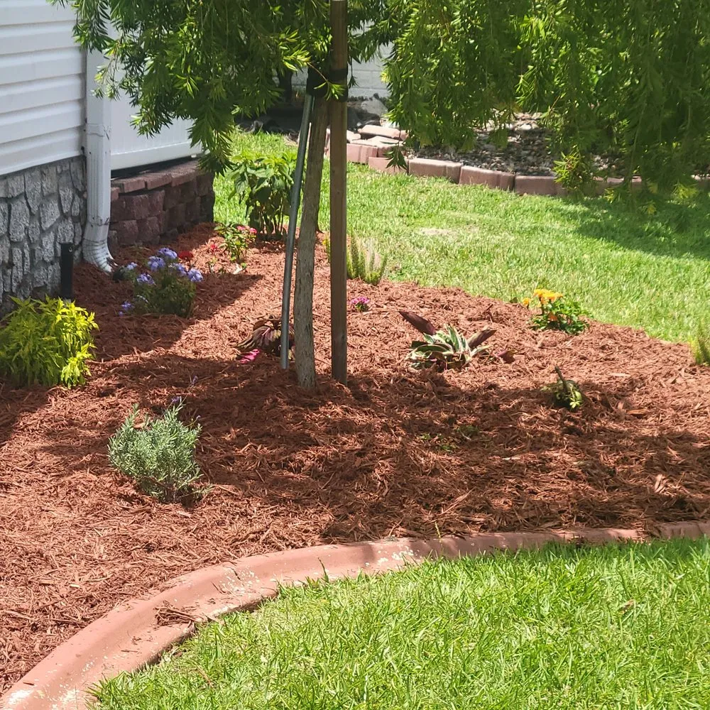 Professional outdoor landscaping with custom design across Umatilla, FL - T&C Landscaping
