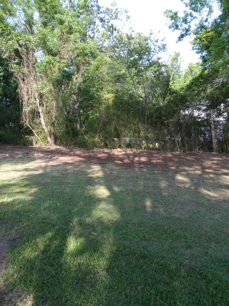 Trusted lawn mowing service for beautiful yards in Carthage, MS by TC Landservice