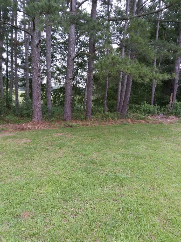 Affordable landscaping services with custom design in Carthage, MS by TC Landservice