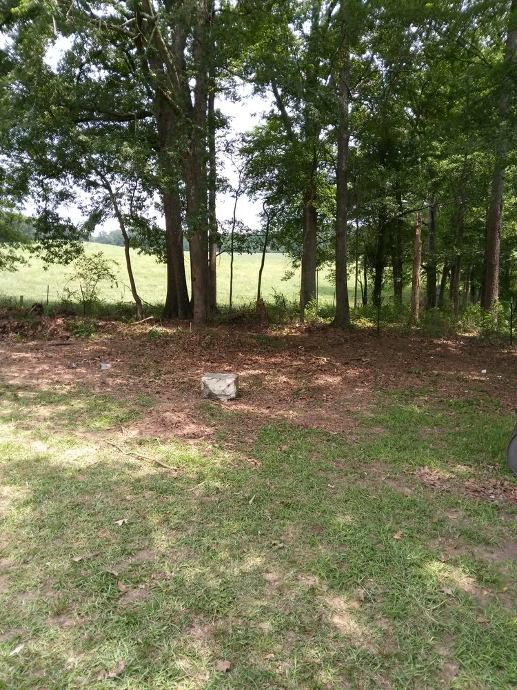 Expert landscaping services experts serving Carthage, MS - TC Landservice