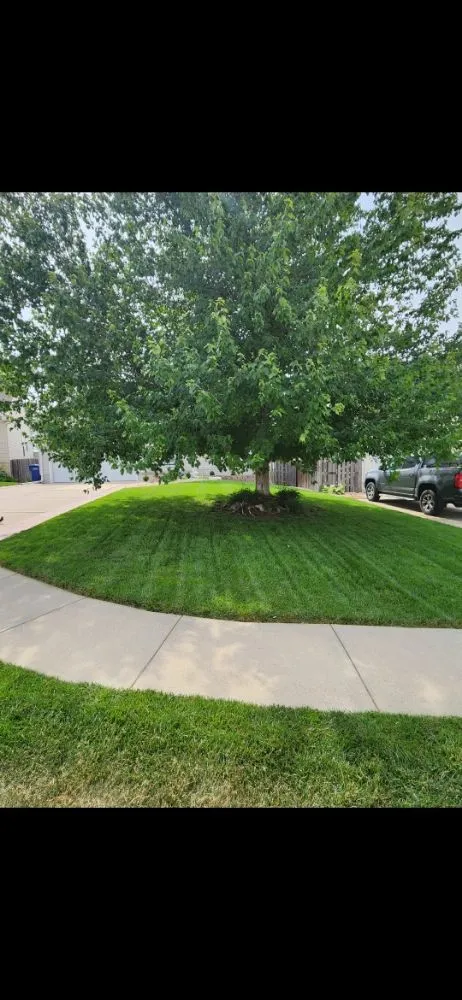 Reliable landscaping services experts serving Bellevue, NE - TC Lawn & Handyman Services