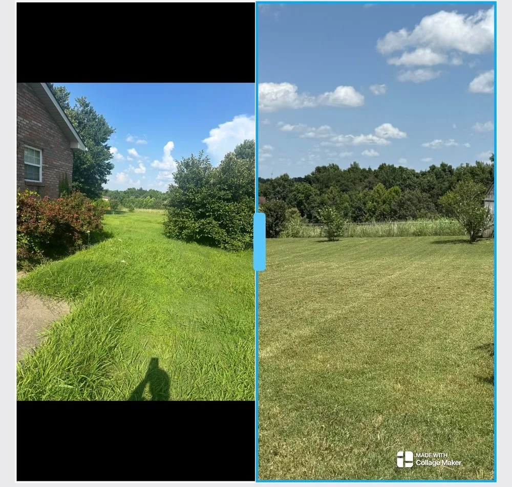 Professional yard cleanup service in Clarksville, TN - T&C Lawn Care & Junk Removal