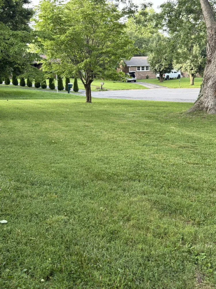 Expert landscape design for homes in Clarksville, TN by T&C Lawn Care & Junk Removal