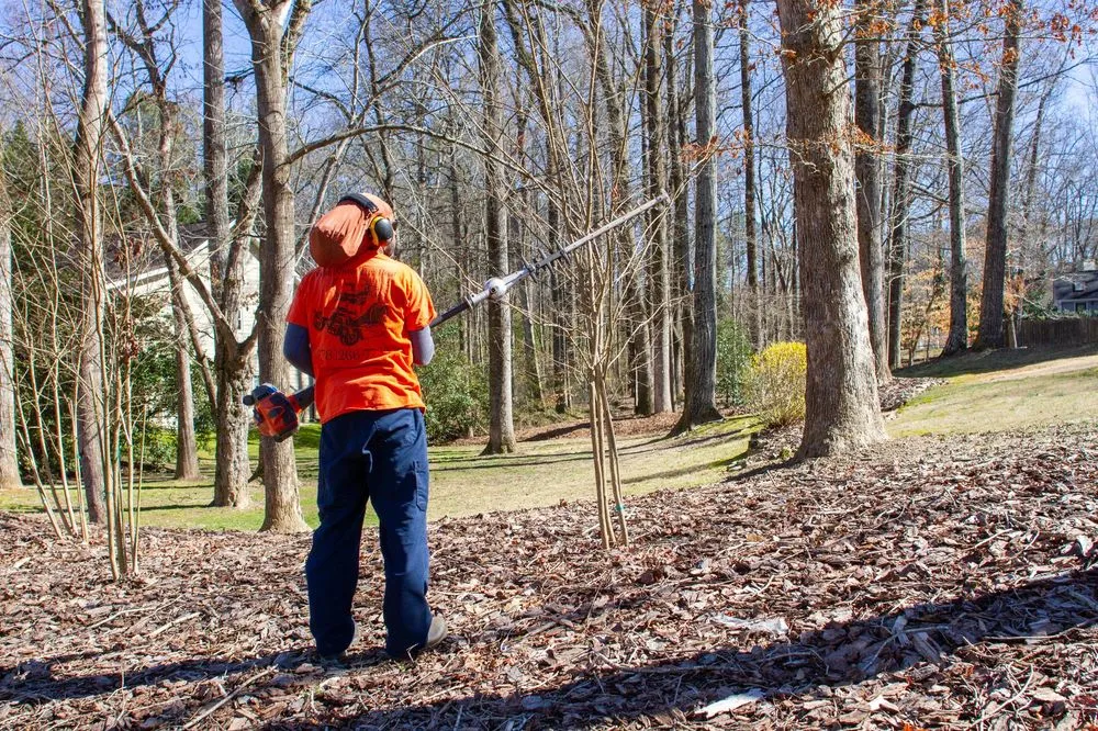 Custom yard cleanup service for beautiful yards across Dacula, GA - TC Lawn Care