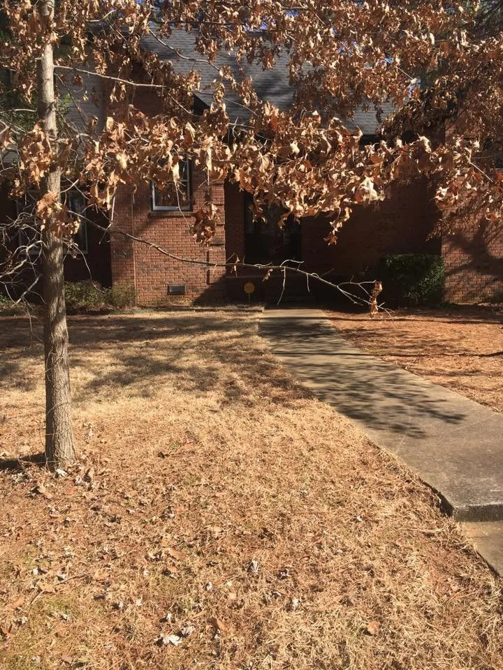 Affordable lawn care service in Florence, AL - T&C Lawn care