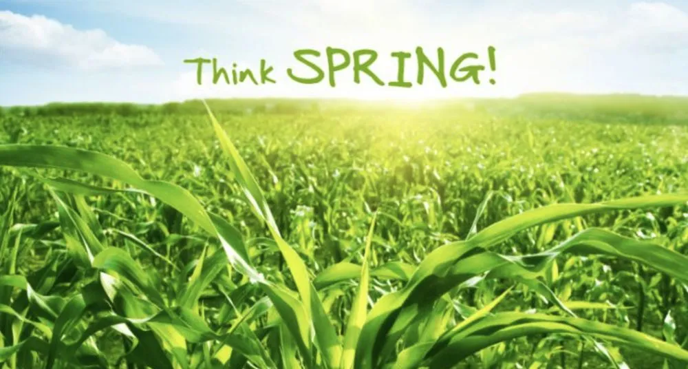 Trusted lawn care service for homes in Florence, AL by T&C Lawn care