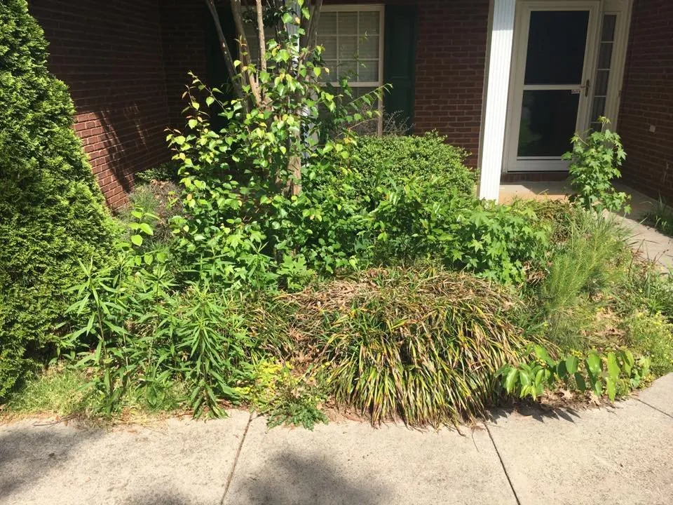 Affordable landscape installation in Florence, AL - T&C Lawn care