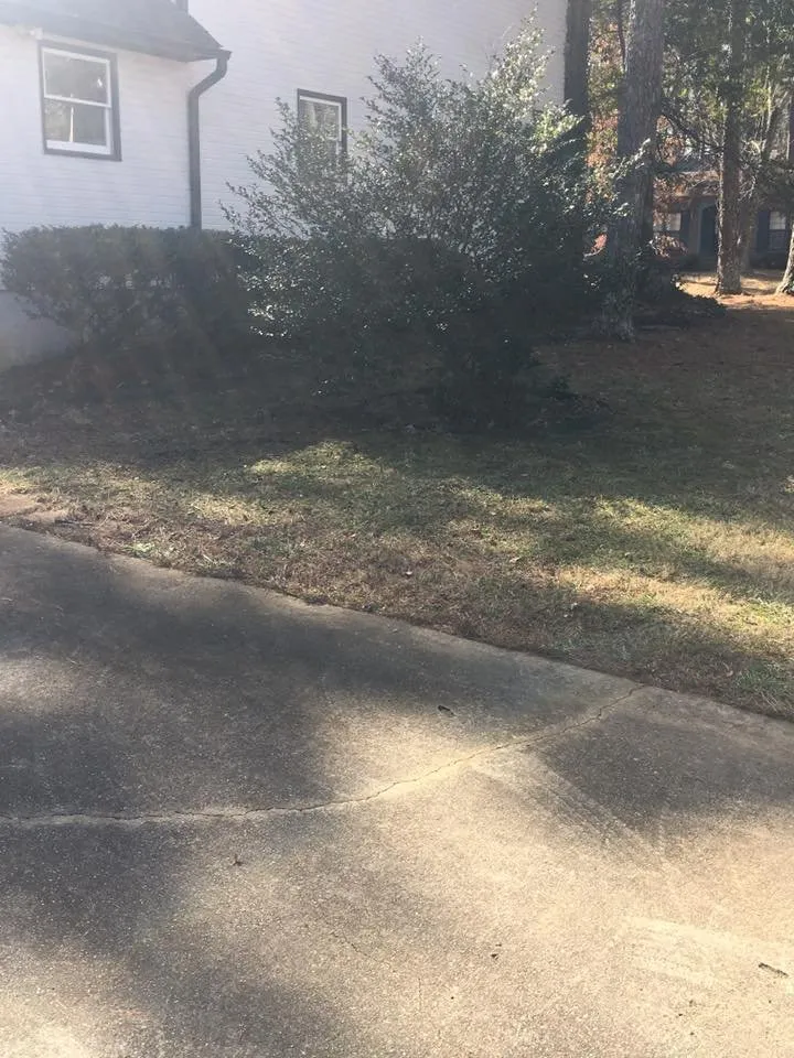 Top-rated outdoor landscaping for homes in Florence, AL by T&C Lawn care