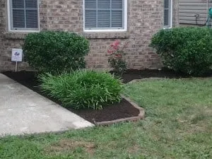 Affordable yard maintenance experts serving Lexington, KY - TC Lawn Care