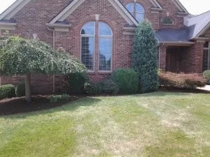 Reliable yard maintenance experts serving Lexington, KY - TC Lawn Care