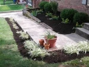 Expert residential landscaping in Lexington, KY by TC Lawn Care