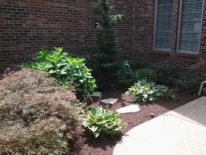 Expert outdoor landscaping for homes across Lexington, KY - TC Lawn Care
