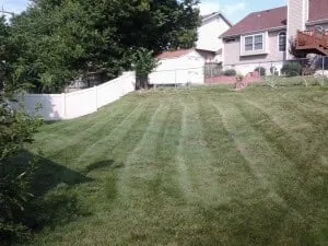 Top-rated lawn mowing service experts serving Lexington, KY - TC Lawn Care