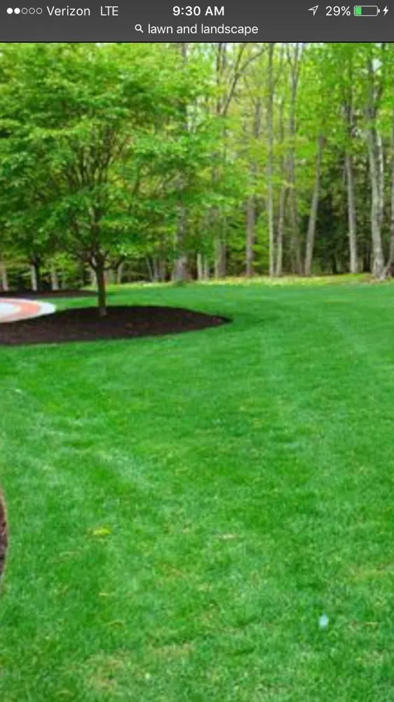 Custom landscaping services experts serving Toney, AL - T&C Lawn Care