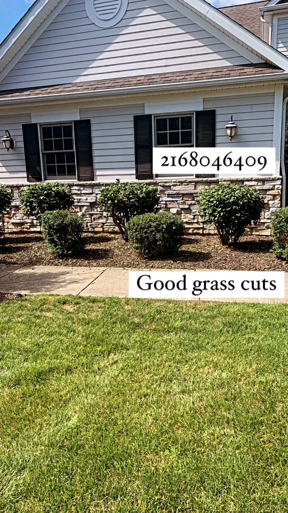 Affordable landscaping services for year-round maintenance across University Heights, OH - T&C Lawn Care