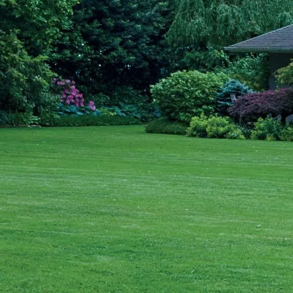 Reliable lawn mowing service for beautiful yards across Longview, TX - TC Lawncare & Landscaping