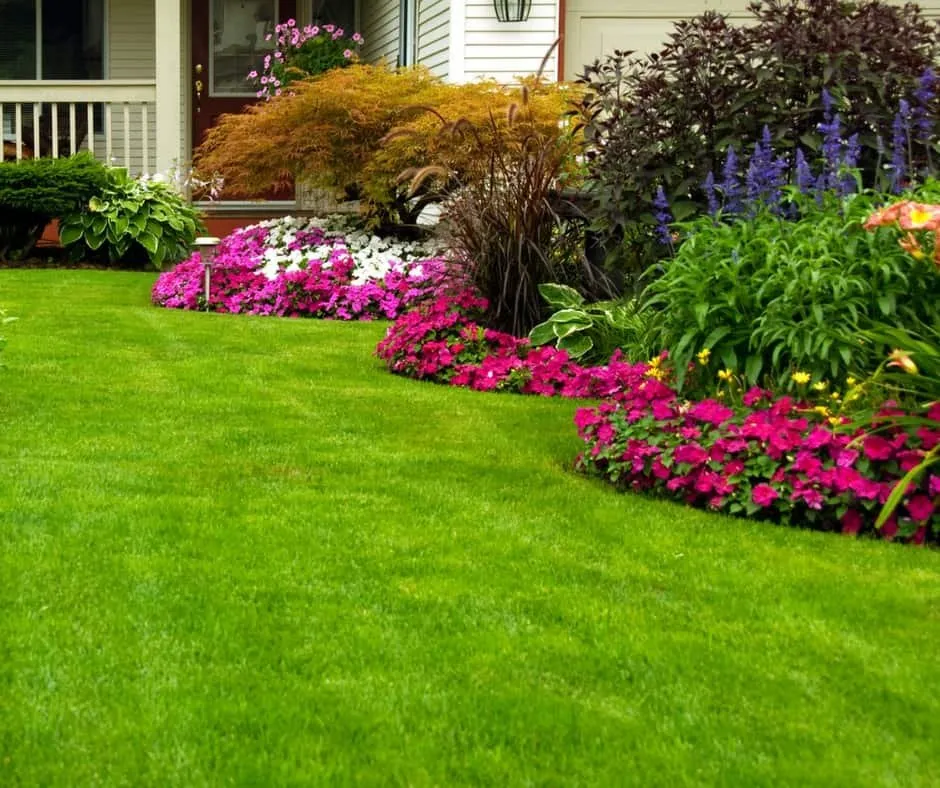 Professional landscape installation for year-round maintenance across Longview, TX - TC Lawncare & Landscaping