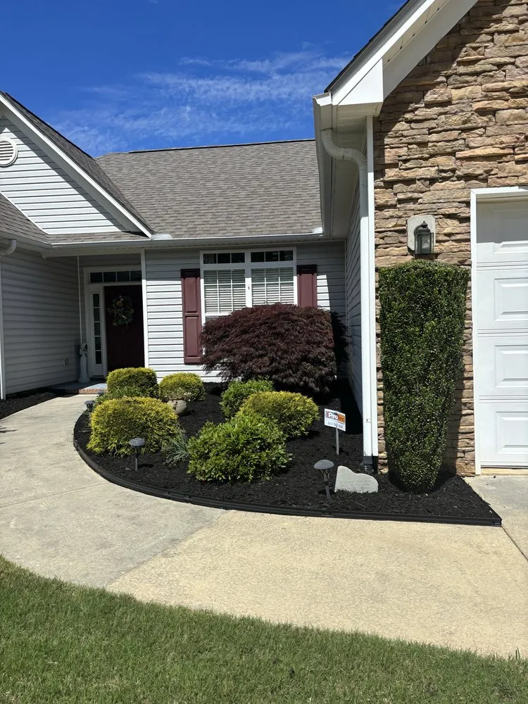 Reliable yard cleanup service experts serving Greer, SC - TC Mulching