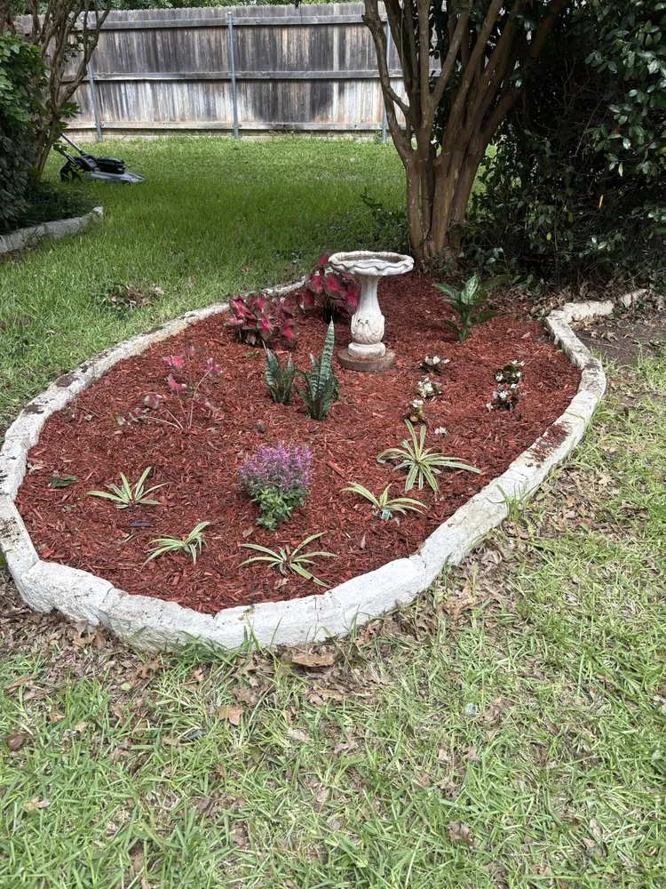 Custom yard cleanup service in The Colony, TX by TC Outdoor Cleaning